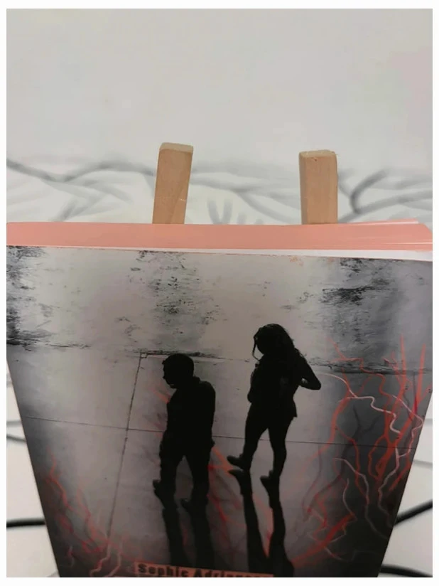 Sophie Adriansen O que corre nas nossas veias Livro – photo 3